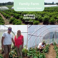 Natures Heritage 14 Variety Herb Seed Box